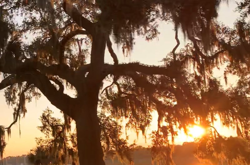 Coastal Discovery Museum ~ Hilton Head Island Photo