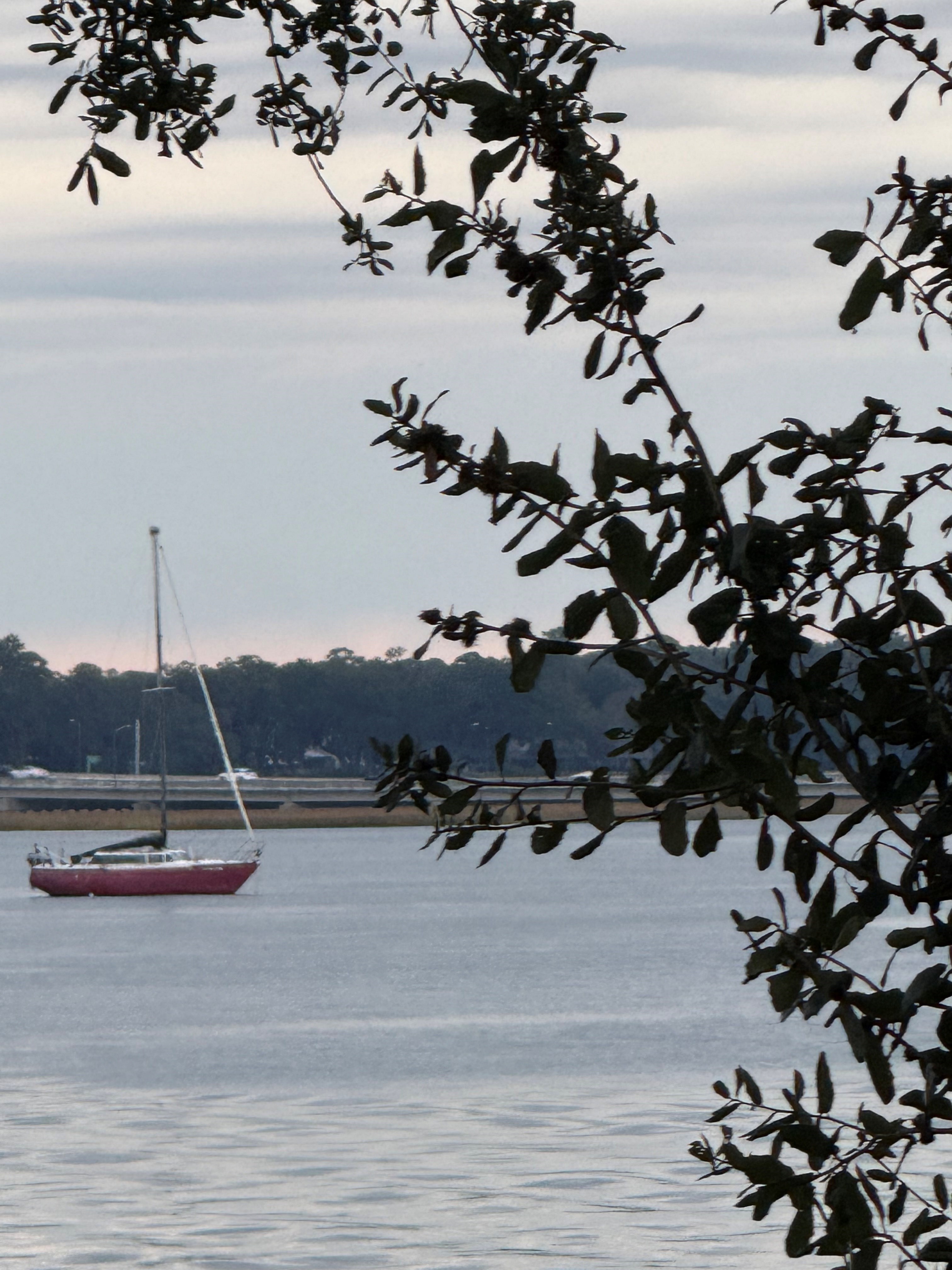 Beaufort Water Festival 2026 Photo