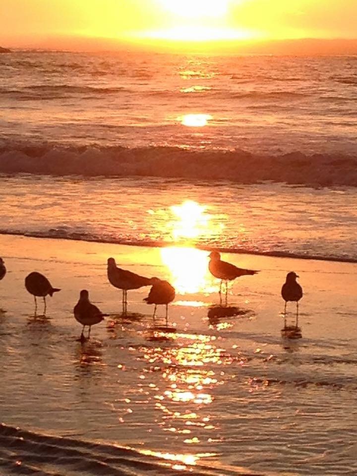 Edisto Calendar of Events Photo
