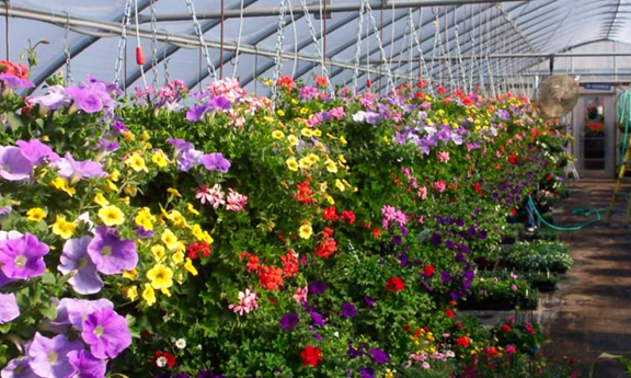 Delaney's Landscape Center