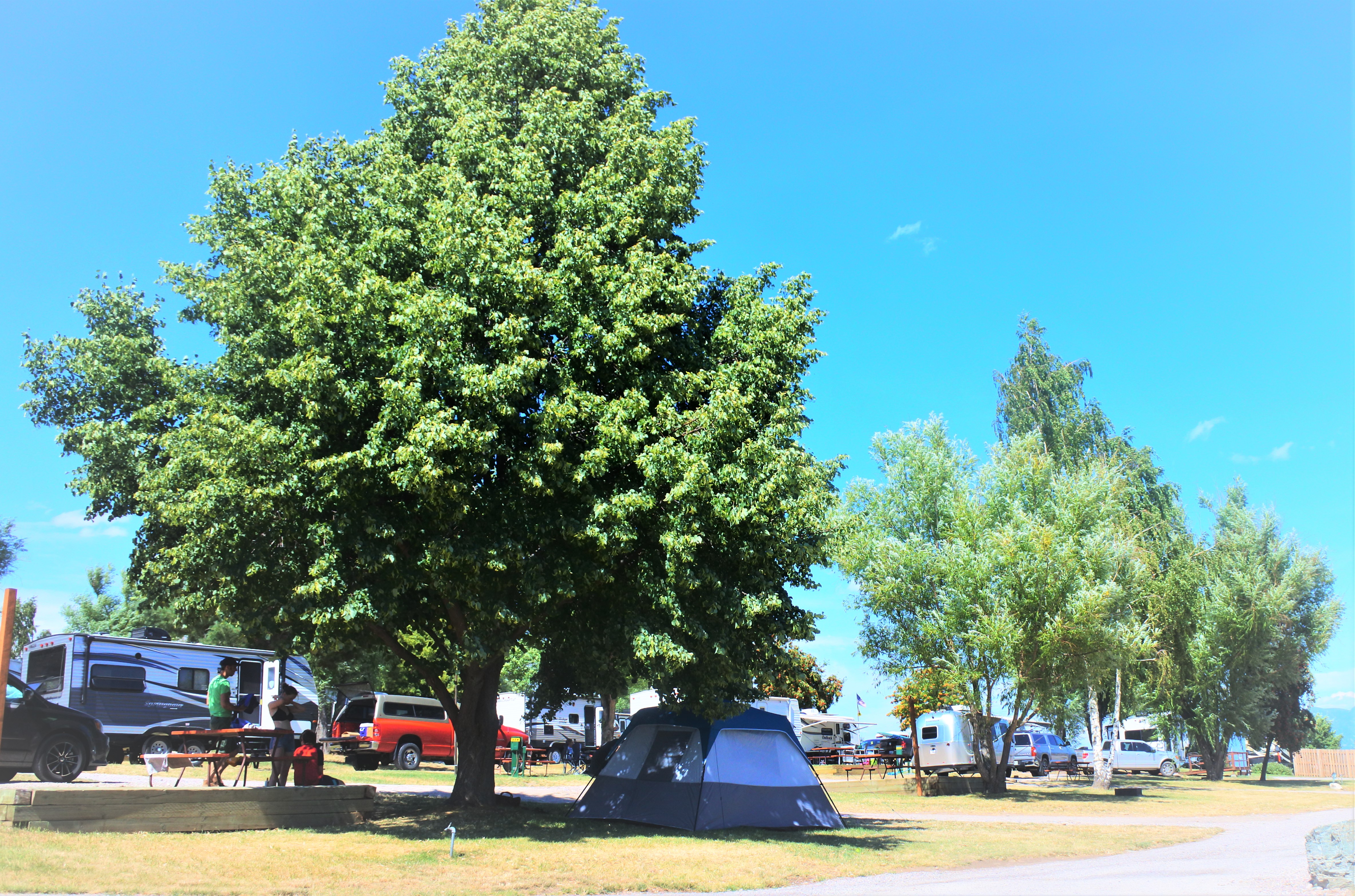 Tent Site