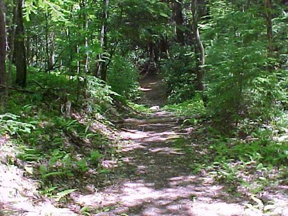 Hiking Trails