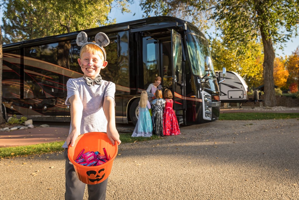 Spooktacular Fun Awaits at Our Halloween Theme Weekends!
