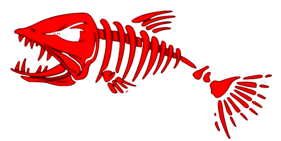 Red Tide Boat Rentals