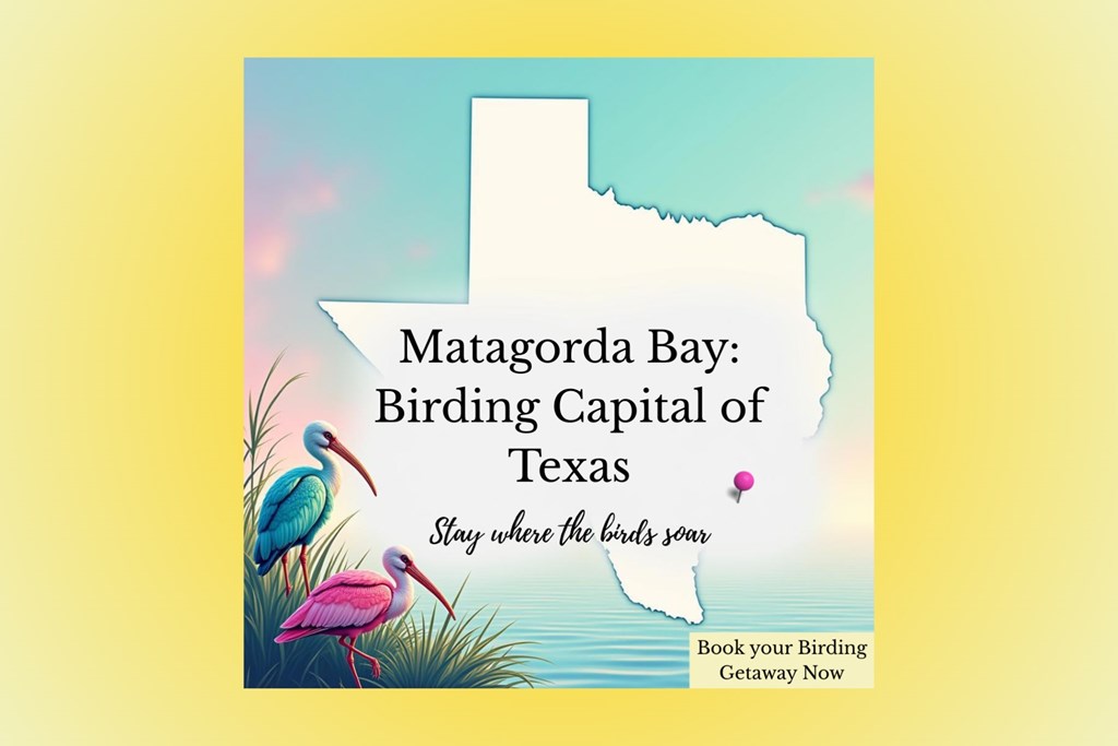 Matagorda Bay is the Official Birding Capital of Texas