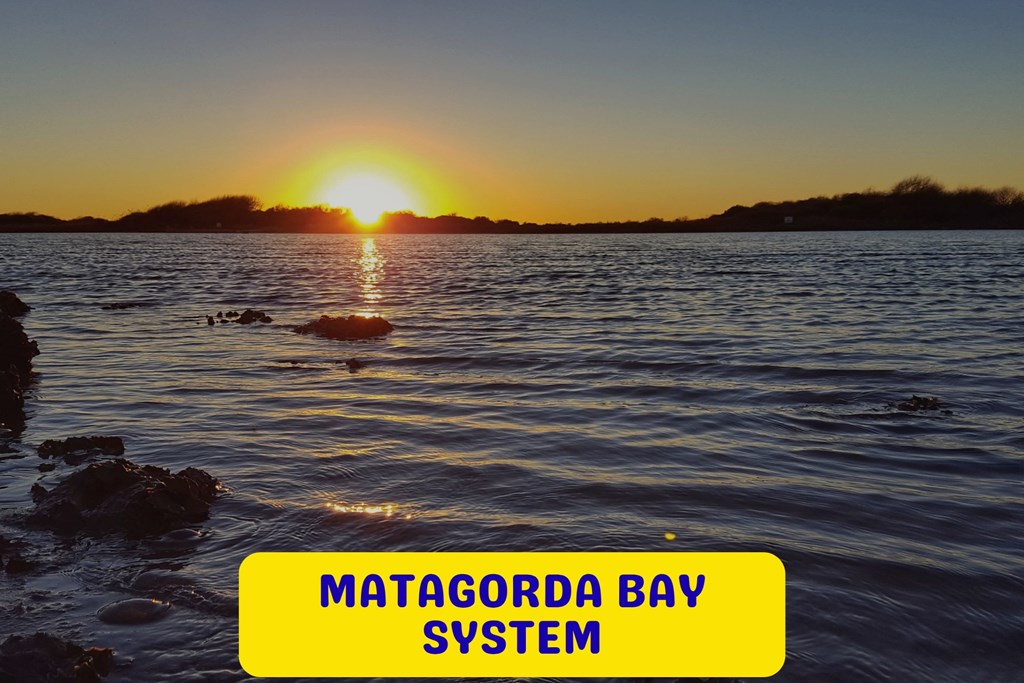 Discover the Matagorda Bay System: Texas' Coastal Beauty