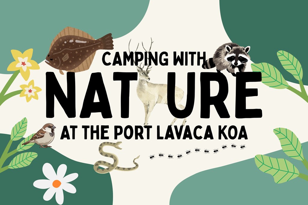 Nature Happens: What to Expect at a Rural Campground