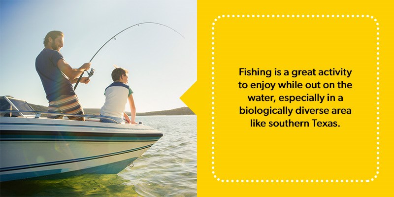 Tips for Boat Fishing in Austin, Texas