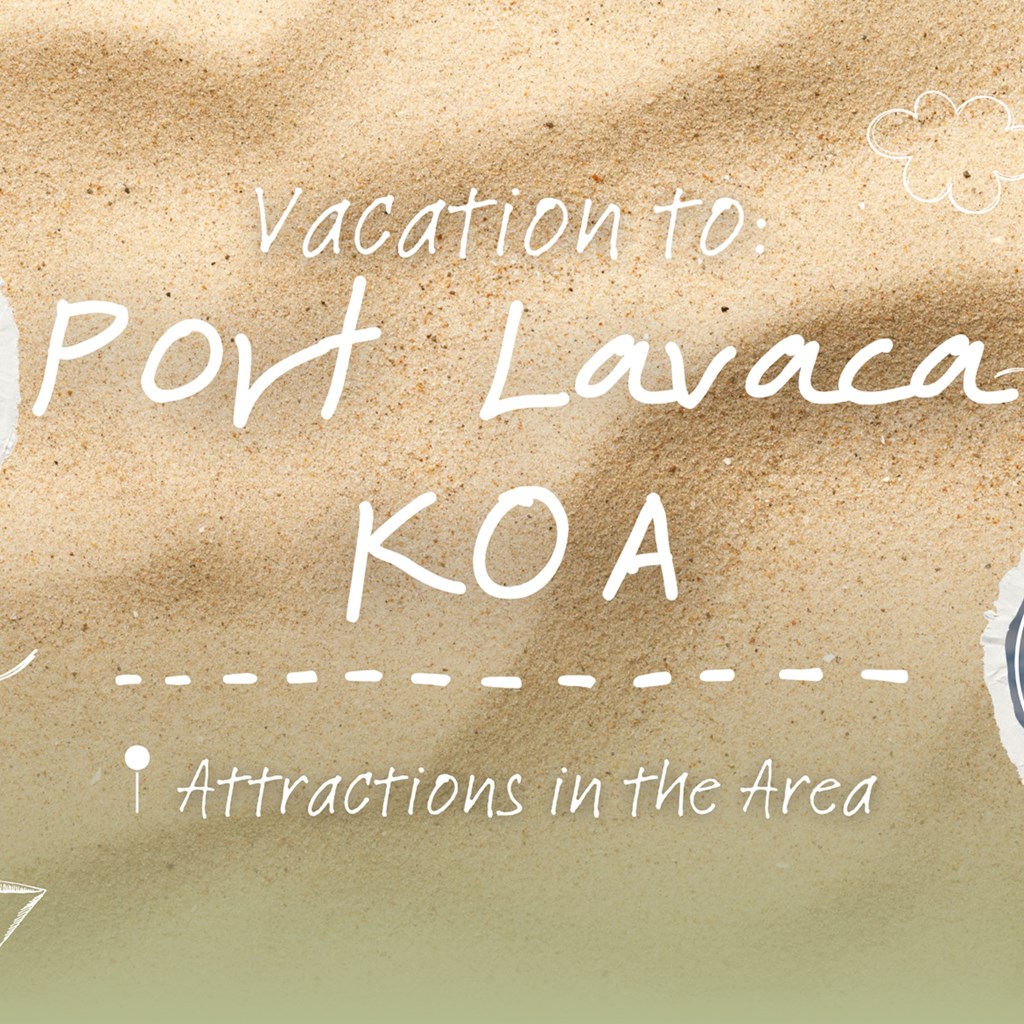 Nearby Attractions