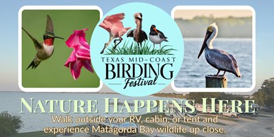 Experience Coastal Birding at the Port Lavaca KOA Holiday