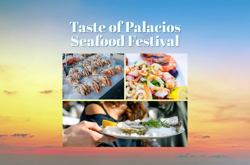 Taste of Palacios Seafood Festival Photo