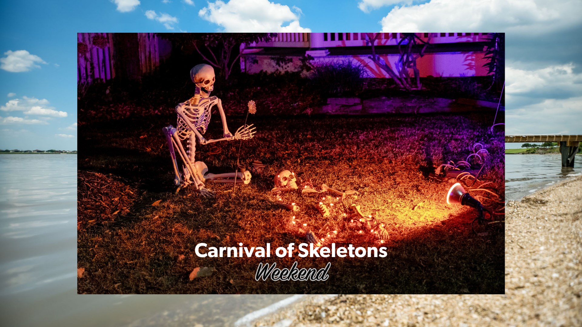 Carnival of Skeletons Photo