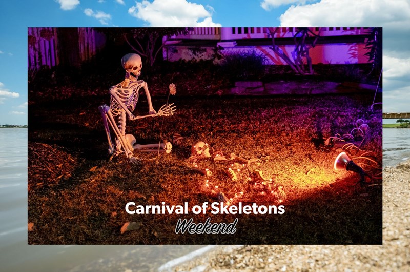 Carnival of Skeletons Photo