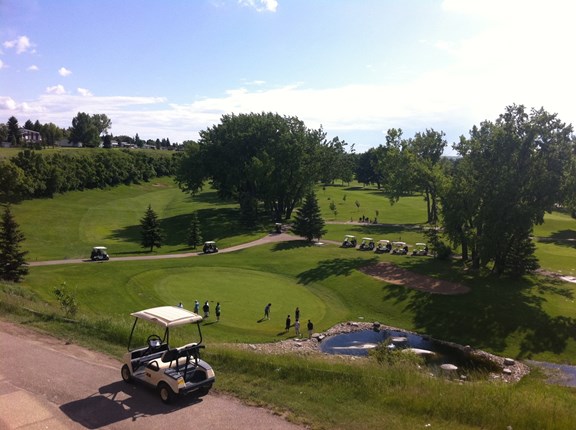 Area Golf Courses