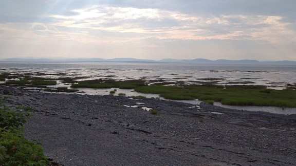 Parc de la Pointe-de-la-Rivière