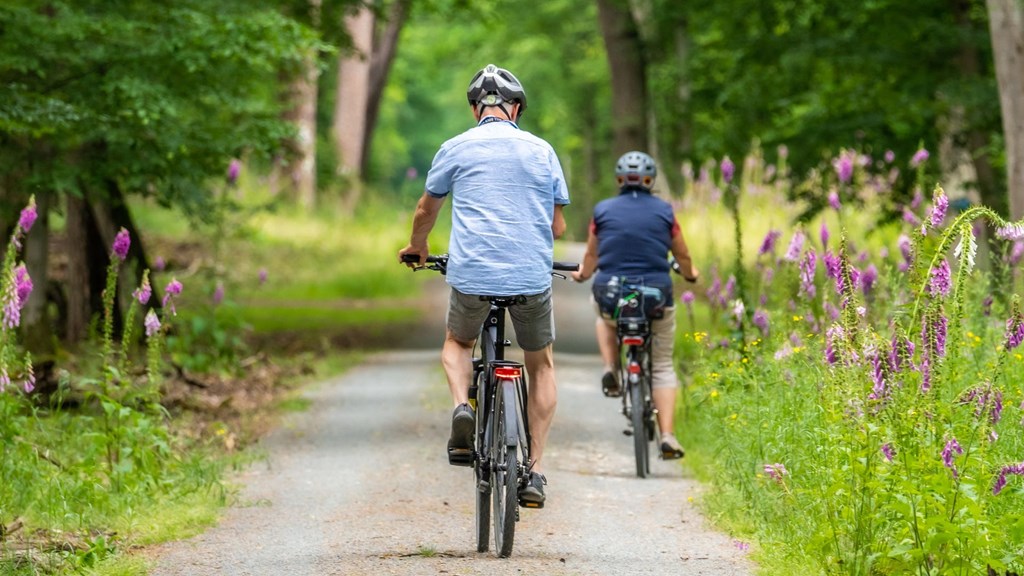 Une piste cyclable à partir du camping