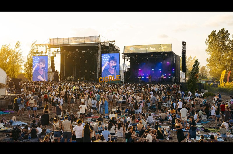 Cigale Québec Photo