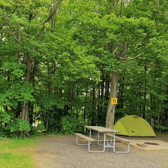 Tent Camping