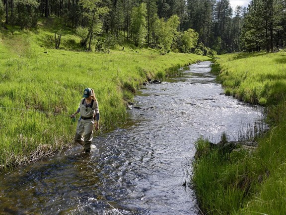 Fishing Nearby
