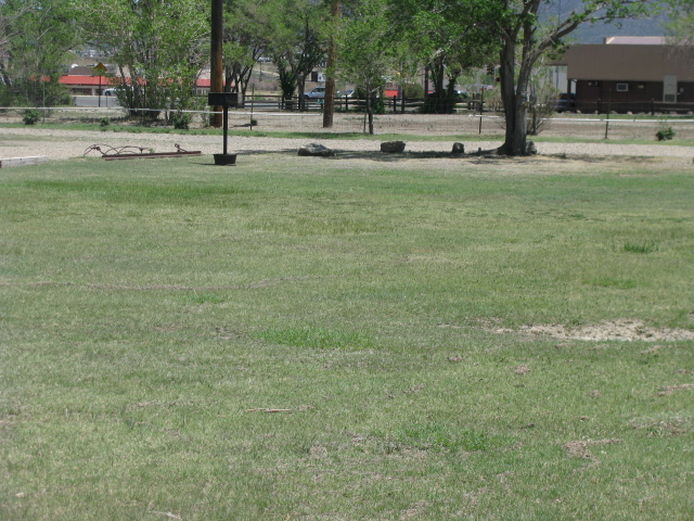 Grassy sites for individuals or groups