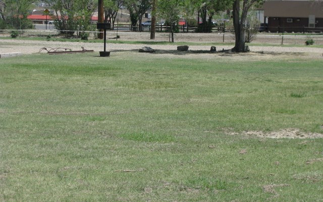 Grassy sites for individuals or groups
