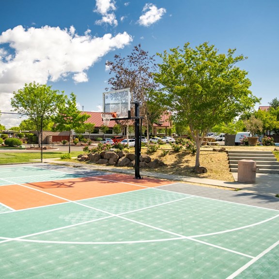 Basketball