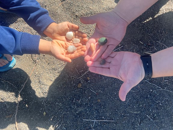 Pebble Puppies