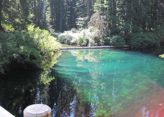 McKenzie Scenic Loop