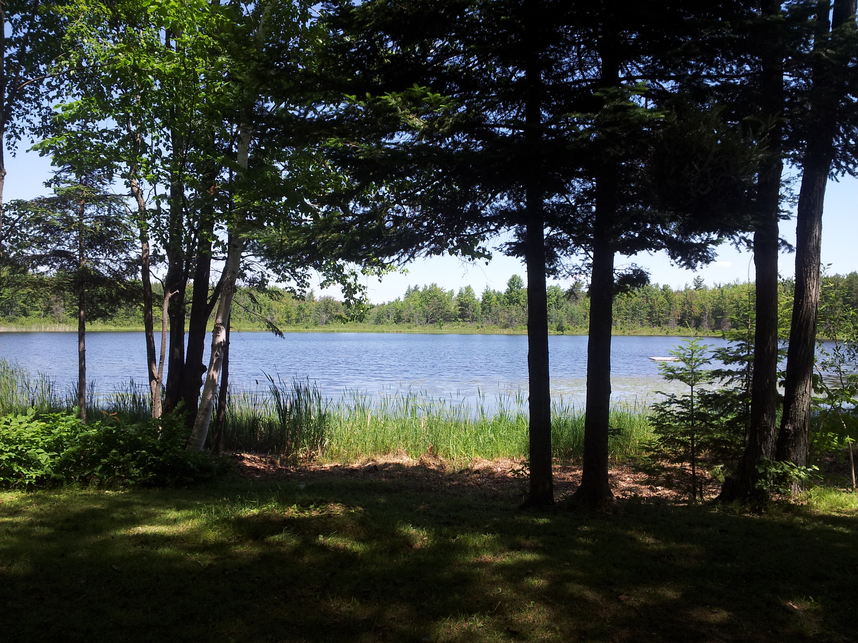 Grassy site backs on to lake.