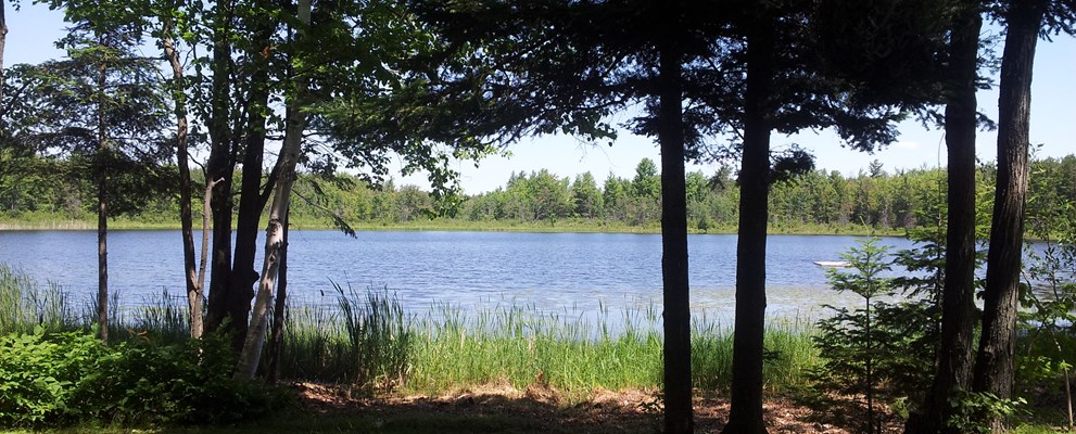 Grassy site backs on to lake.