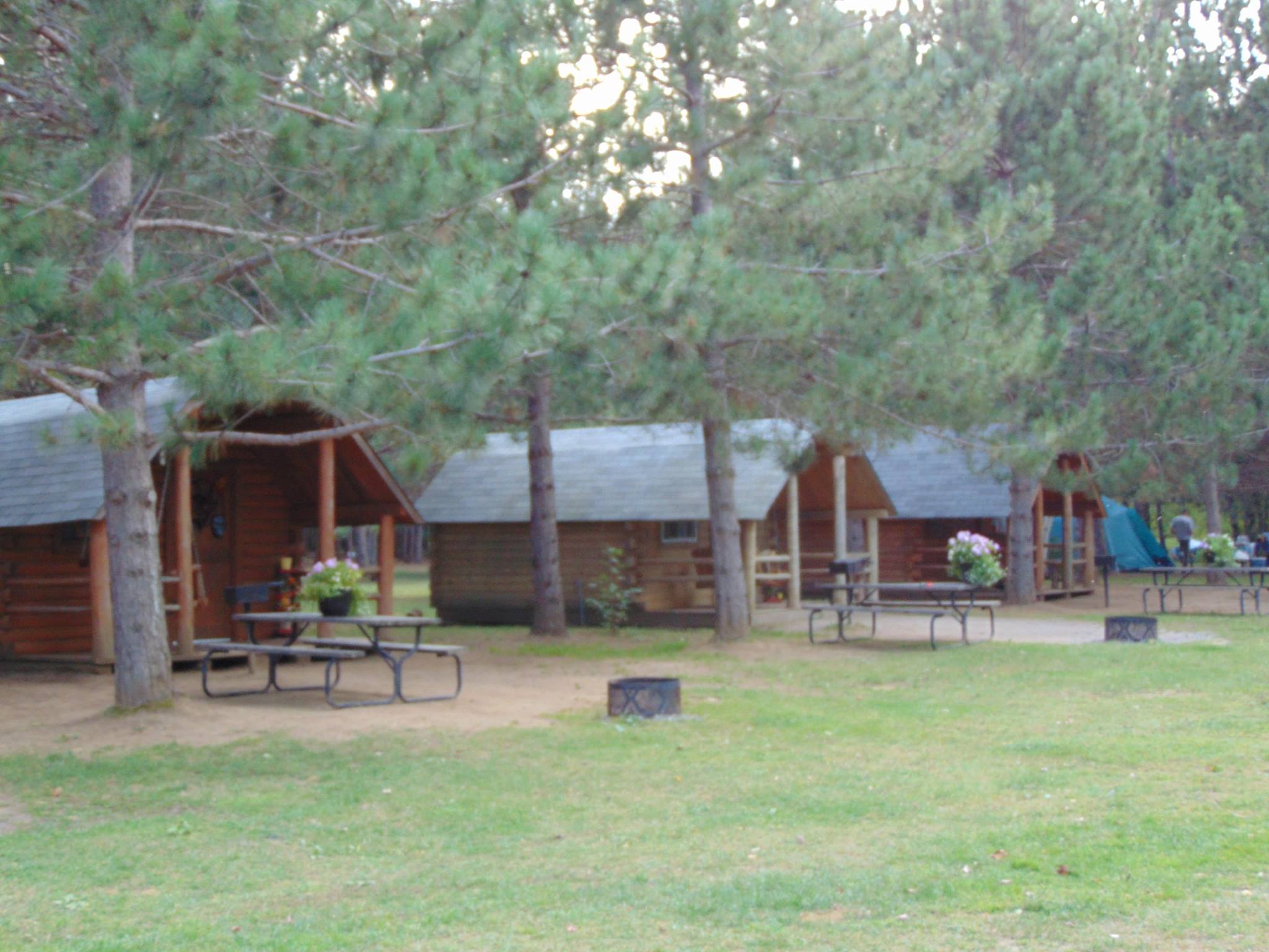Camping Cabins in the Pines with a beautiful view of the Lake.  Sleeps 4. Electricity and mini-fridge is included
