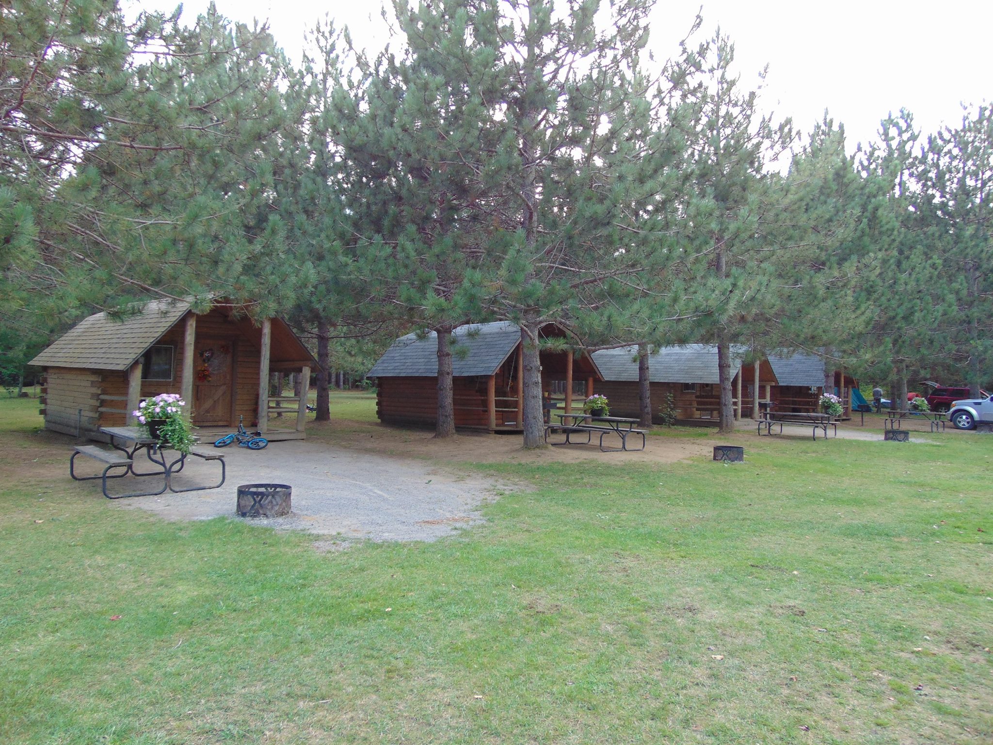 Camping Cabins in the Pines with a beautiful view of the Lake.  Sleeps 4. Electricity and mini-fridge is included