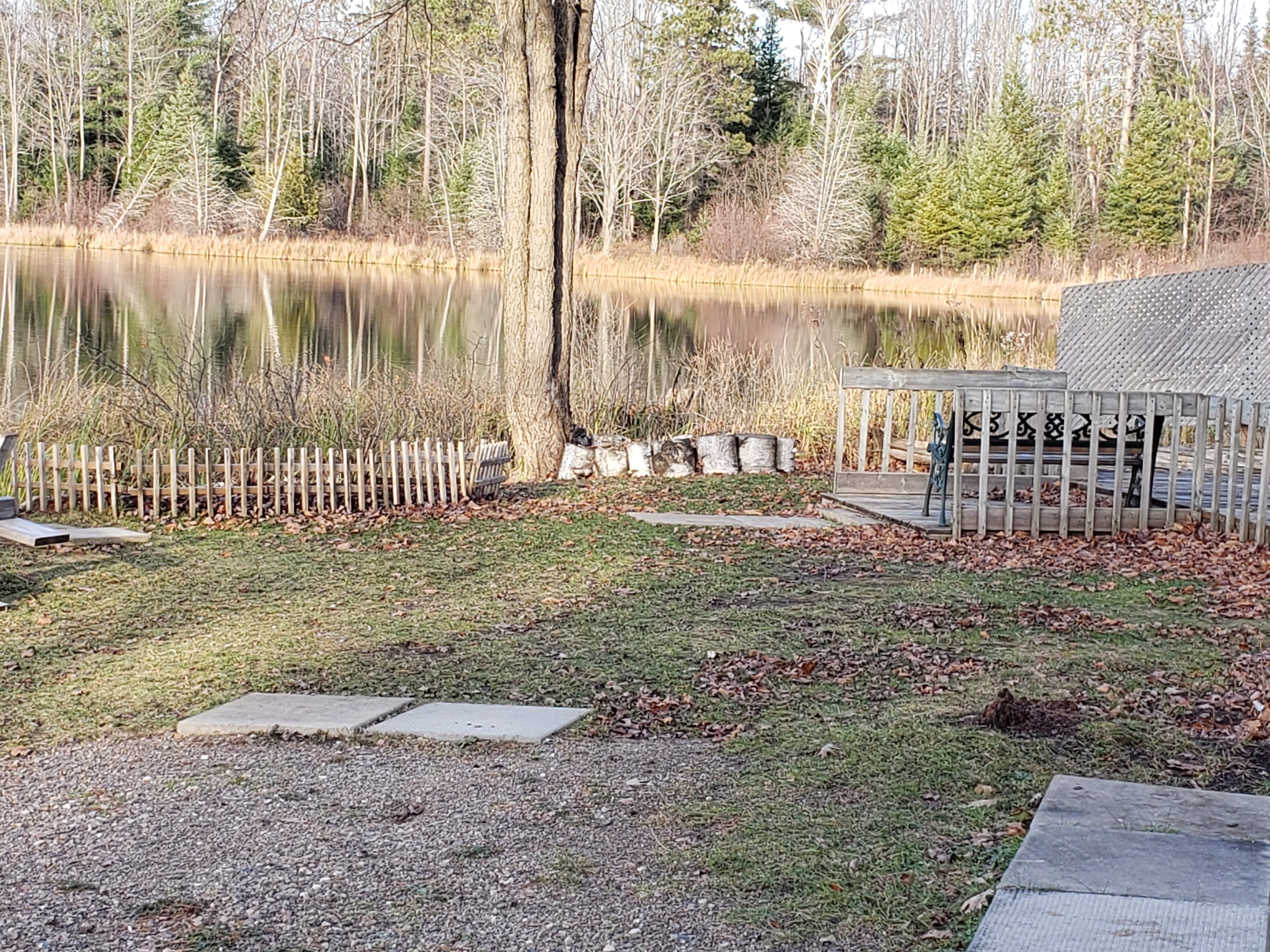 late fall at the glamping site private access to Yuill's Lake