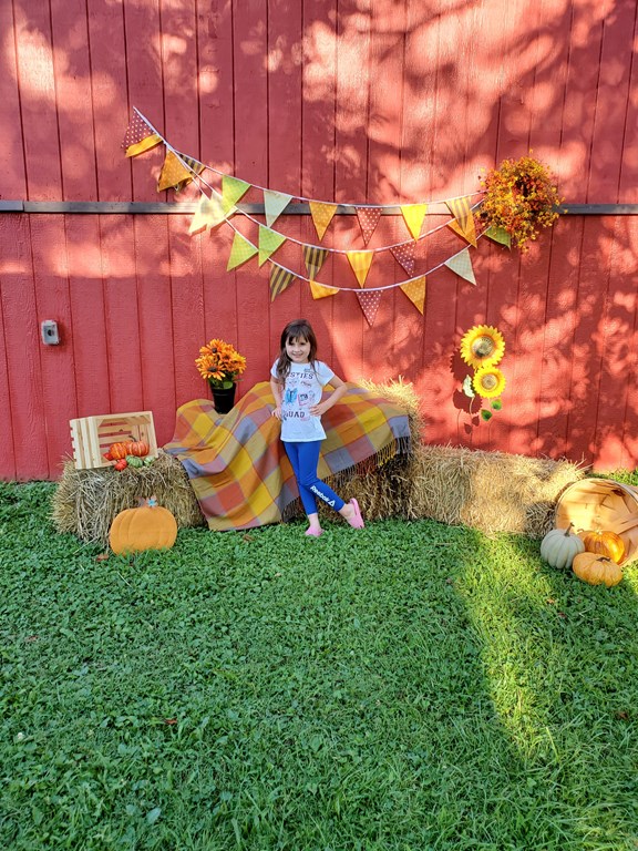 Welcome to the Renfro Valley KOA Holiday