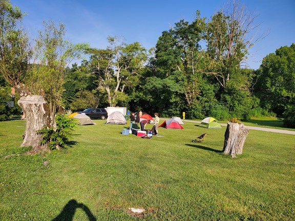 Welcome to the Renfro Valley KOA Holiday
