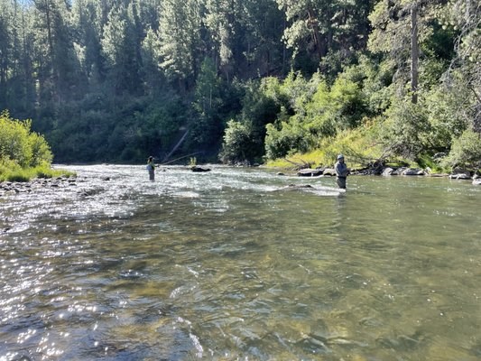 Fly Fishing in the Truckee River