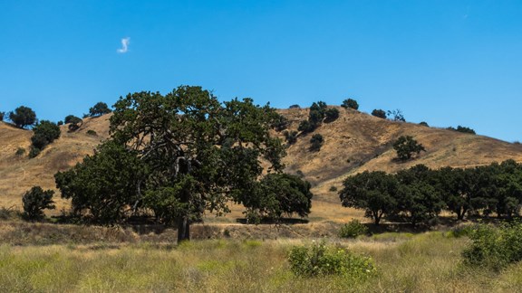 Otter Creek State Park