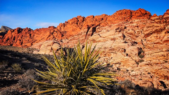 Red Canyon