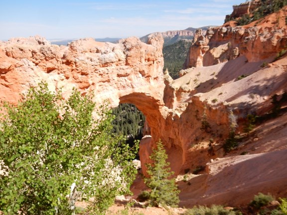 Zion Park & Bryce National Park