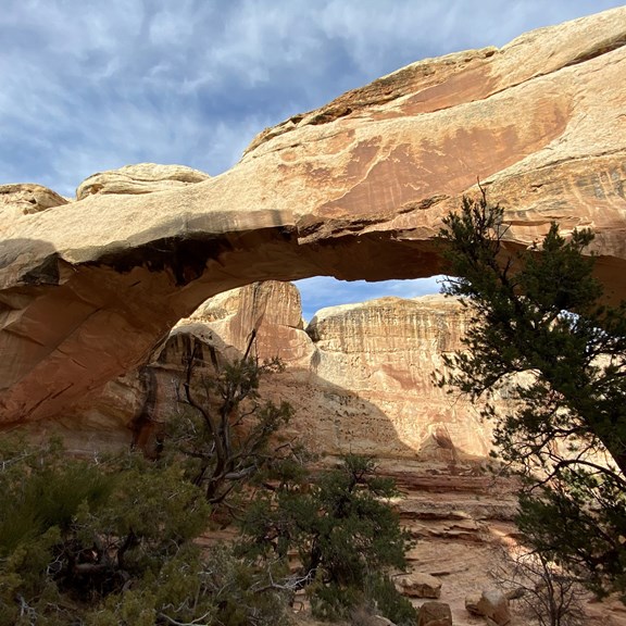 Capitol Reef National Park