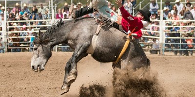 2024 Sevier County Fair and Rodeo