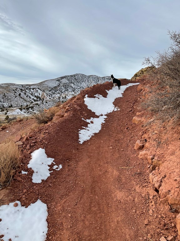 Sweet Berm!