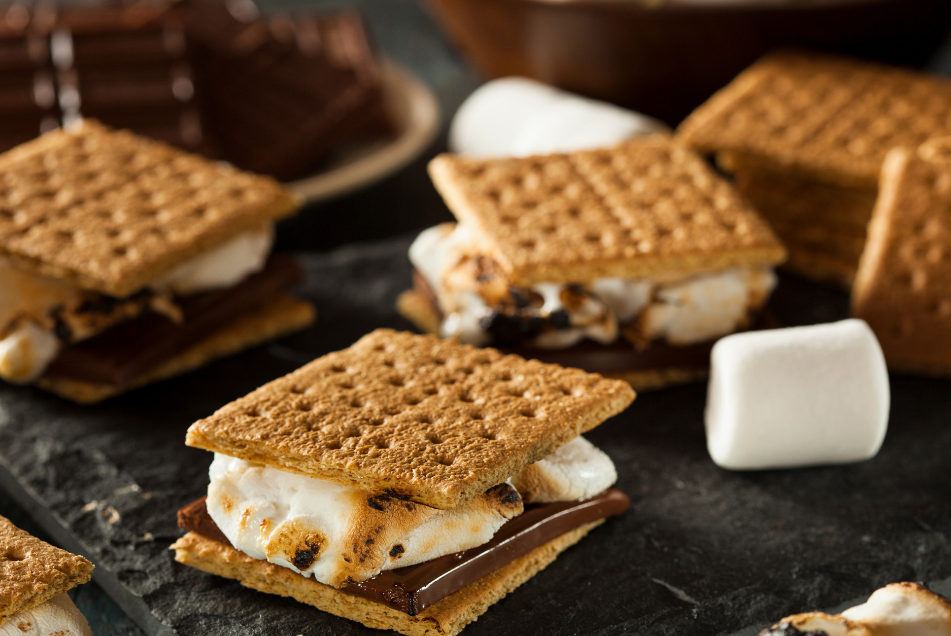 Annual S'mores Celebration Photo