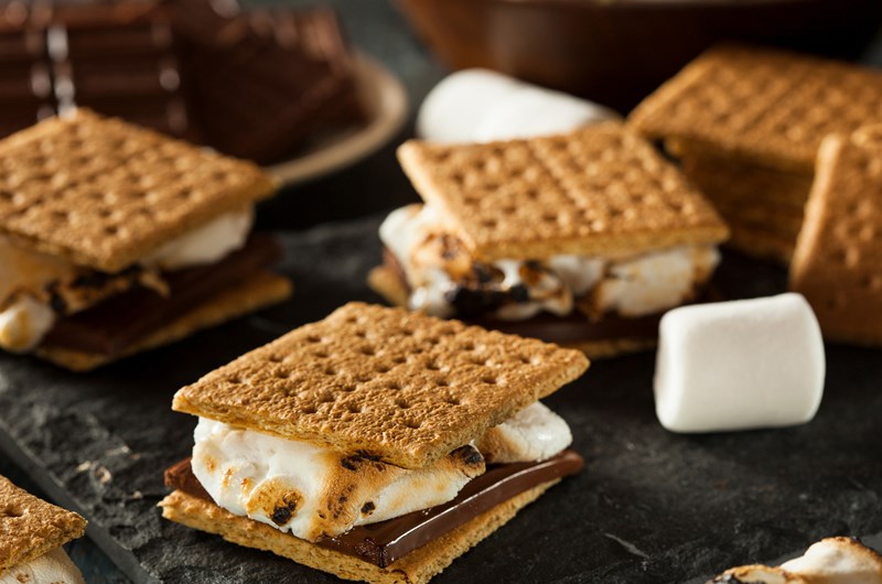 Annual S'mores Celebration Photo