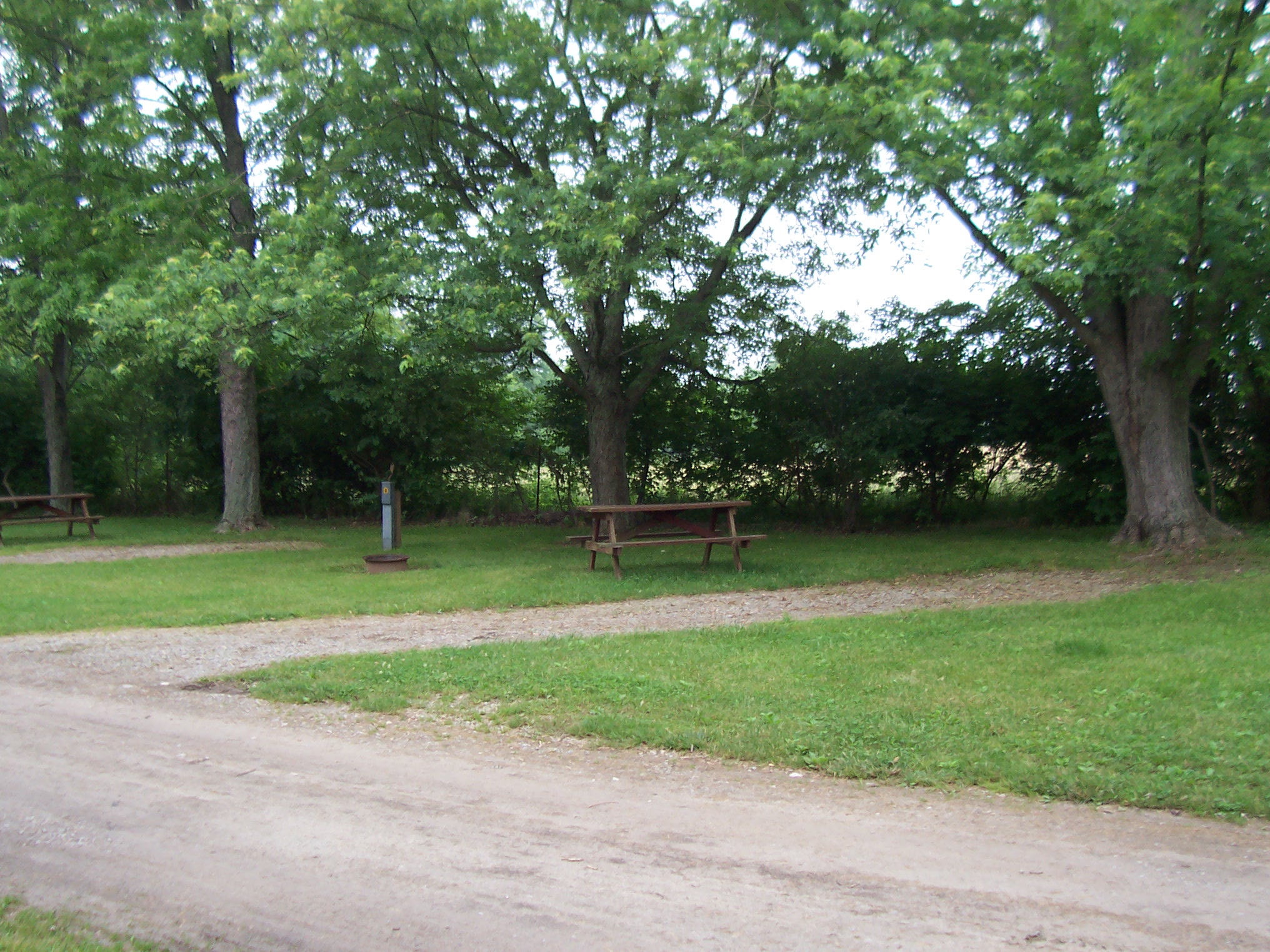 30 W/E back-in - trees