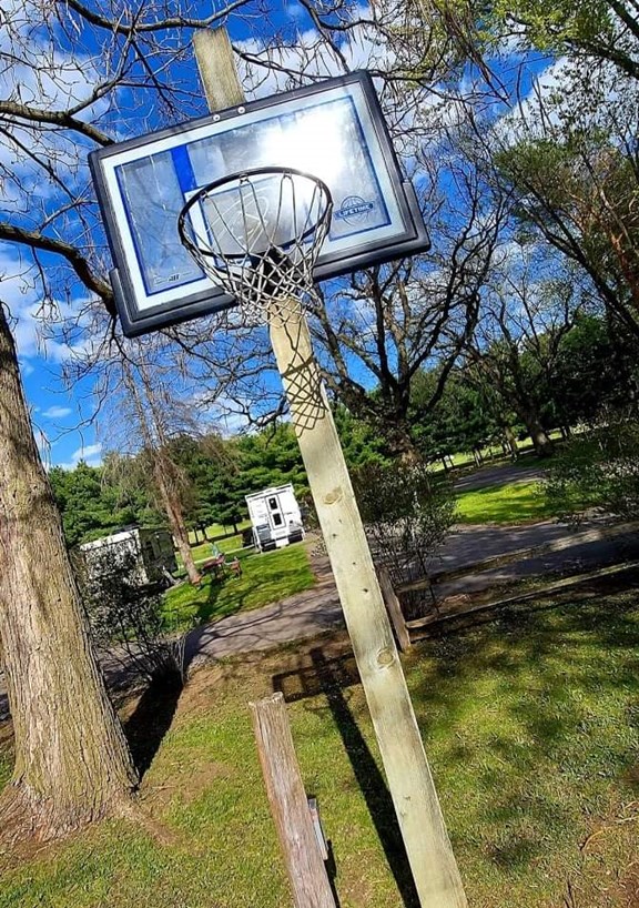 Basketball