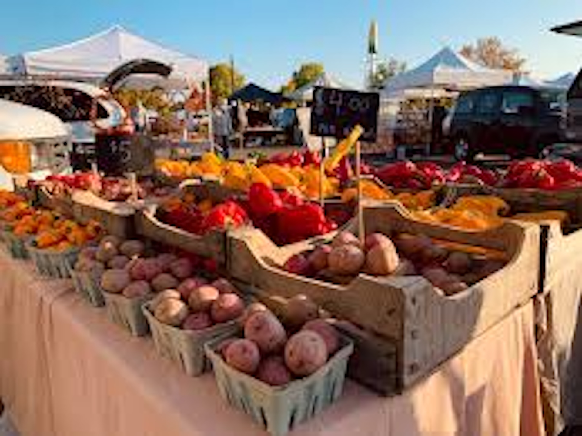 Farmer's Market Photo