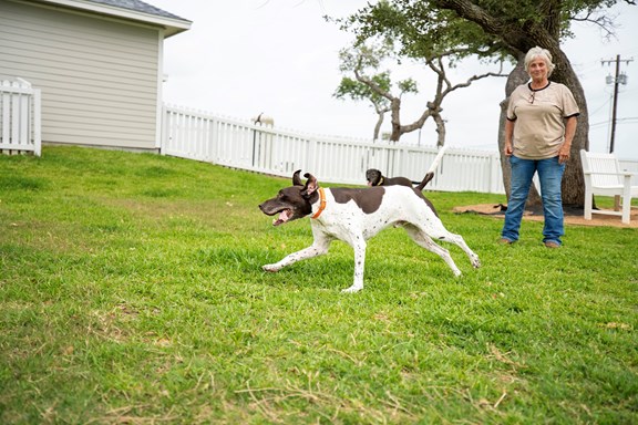 Two KampK9® Dog Parks