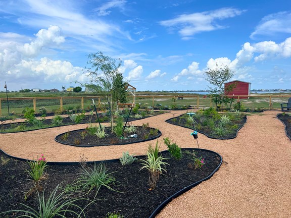 NEW Hummingbird Garden