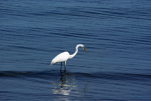 St. Charles Bay